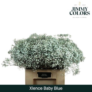 Gyps Xlence L60 Light Blue