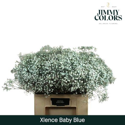 <h4>Gyps Xlence L60 Light Blue</h4>