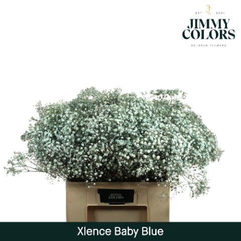 <h4>Gyps xlence L60 Light blue</h4>