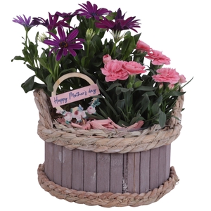 Mothersday Arr. Outdoor Wooden Pot Waterhyacint Rim Ø19cm 2PP
