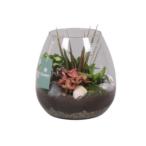 Green Bottle Abby Large met Groen Planten