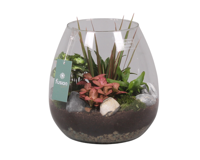 <h4>Green Bottle Abby Large met Groen Planten</h4>