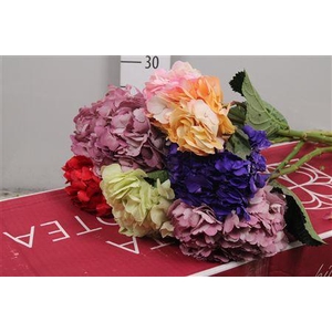 Hydr Premium Tinted Mix