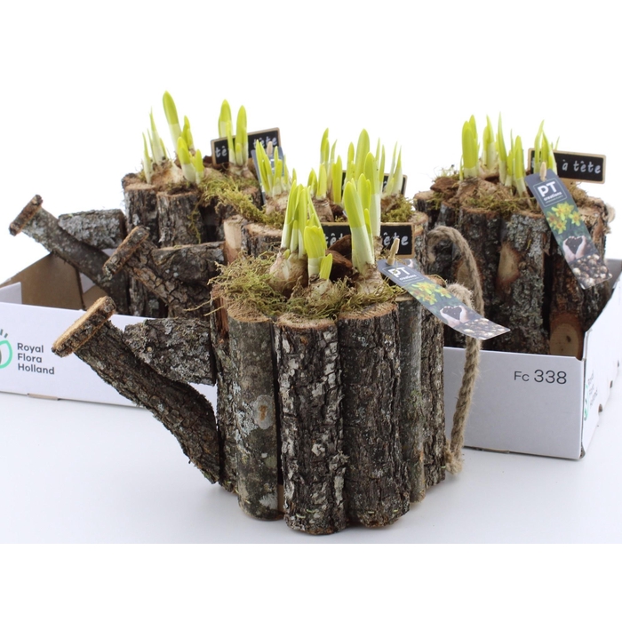 <h4>Arr N Tete A Tete</h4>