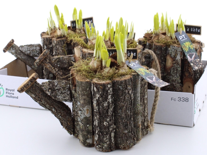 <h4>ARR N TETE A TETE</h4>