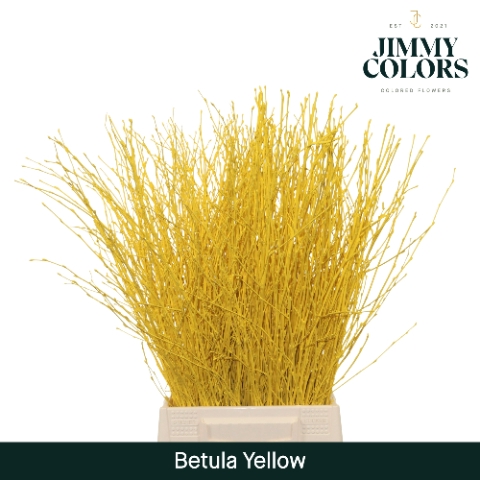 <h4>Betula L60 Yellow</h4>