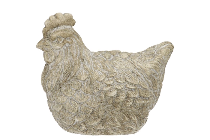 <h4>Concrete Farm Grey Chicken Feathers 21x14x17cm Nm</h4>