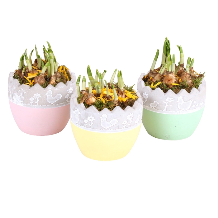 <h4>Easter Arr. Narcis Ceramic Twotone Egg Ø14cm 1PP</h4>