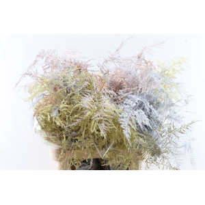 Asp Kbh Lang Christmas Mix