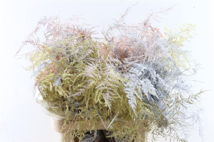 Asp Kbh Lang Christmas Mix