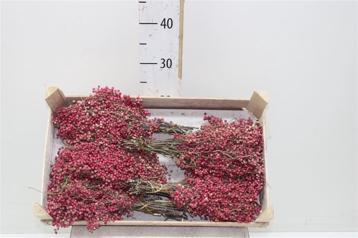 <h4>Dried Pepperberries</h4>