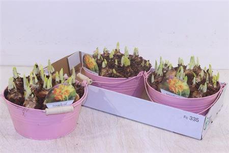 <h4>Arr N Tete A Tete</h4>