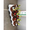 HIPPEASTRUM MIX 1 KNOP