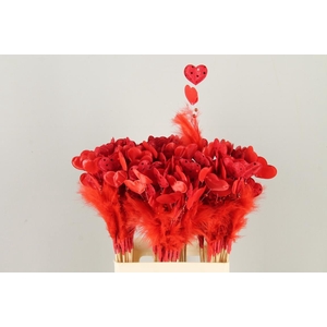 Stick Heart Mini +Fthr+Prl Red