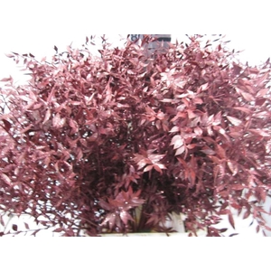 Ruscus Prik Bordeaux Glitter