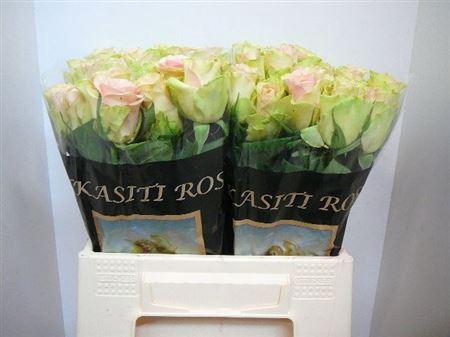 <h4>R Gr La Belle</h4>