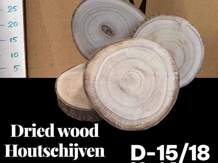 <h4>HUIS EN TUINDECO H%</h4>