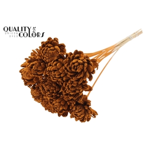 Shola New Beauty Rose Ø8cm on stem Terracotta
