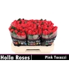 R GR PINK TACAZZI+