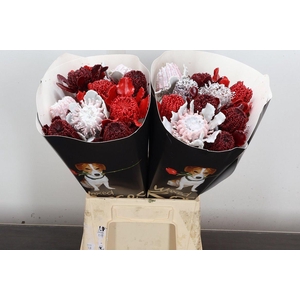 Banksia Wx Mix Red White Burgundy