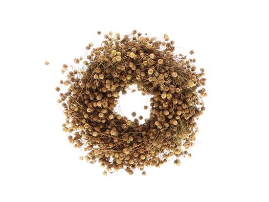 Wreath Flax Arba D20