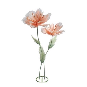 Stem Emperor Flower Double L50w50h180