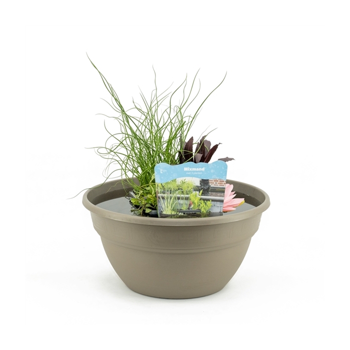 <h4>Terrasschaal Taupe met mixmand</h4>
