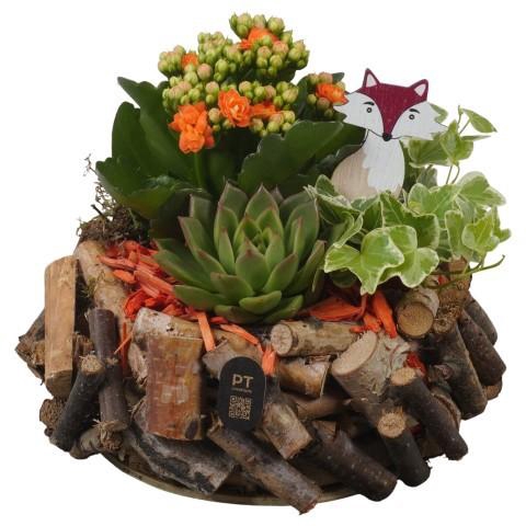 <h4>PTHI3340 Arrangement Autumn Indoor in houten bak</h4>