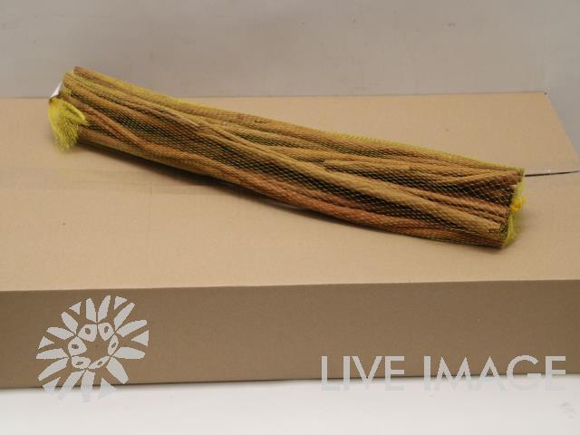 Cinnamon 60cm Kg bags