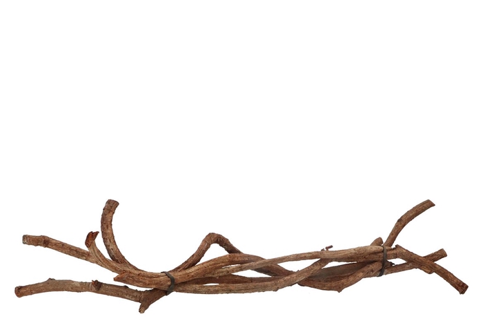 <h4>Nature Twisted 2-3x60cm Natural P/5 Nm</h4>