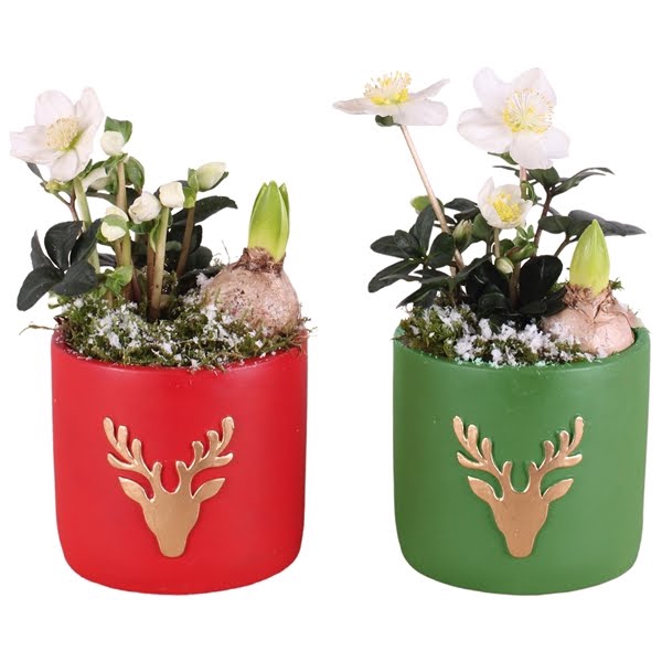 <h4>Christmas Arr.Outdoor Ceramic Pot round reindeer red/gre 14cm2PP</h4>