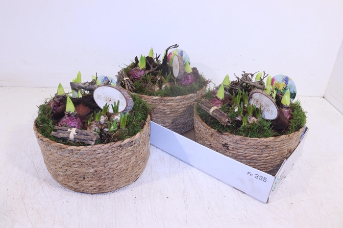 <h4>ARR BOL KNOLGEWAS</h4>