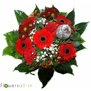 P202311 Rood