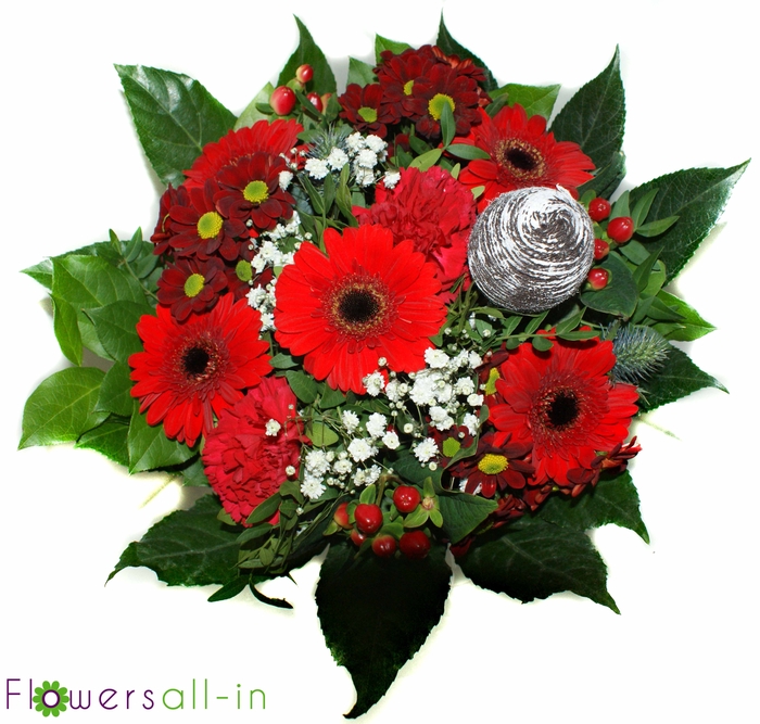 <h4>P202311 Rood</h4>