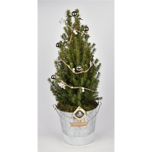 Zink emmer kerstdecor met Kerstsl. en LED verl. 15cm