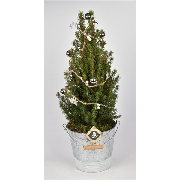 <h4>Zink emmer kerstdecor met Kerstsl. en LED verl. 15cm</h4>