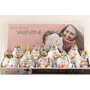 Wax Hipp Love Dreamz