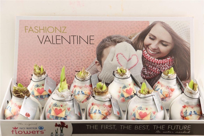 <h4>Wax Hipp Love Dreamz</h4>