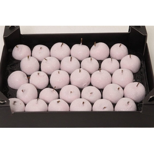 Appel (wax+gl) X8 Ivoor