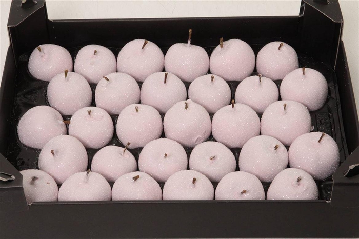 <h4>Appel (wax+gl) X8 Ivoor</h4>