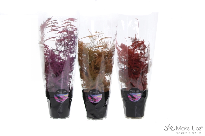 <h4>Asp Make-Upz MIx 1 Pink, Orange en Red</h4>