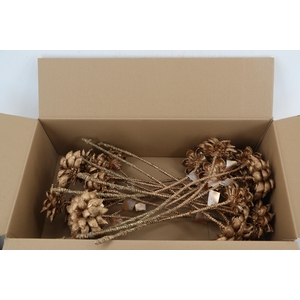 Stick Dahlia Sweet Antique Gold