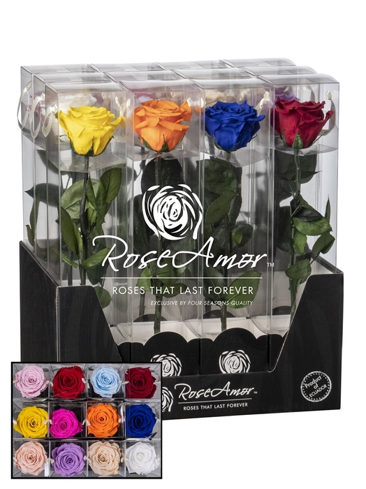 Display 30cm Stem Assorted