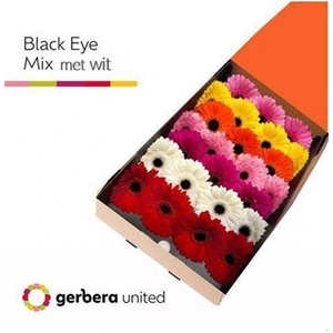 Ge Gr Op Rij Gem