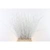 Berk 70cm White Bunch