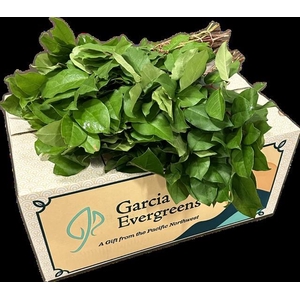 SALAL TIPS EXCLUSIVE AIR