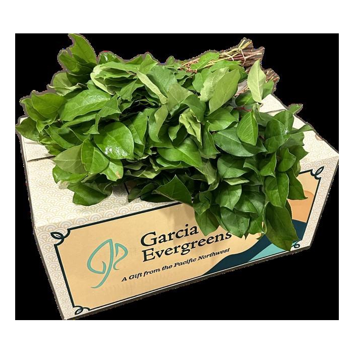<h4>SALAL TIPS EXCLUSIVE AIR</h4>