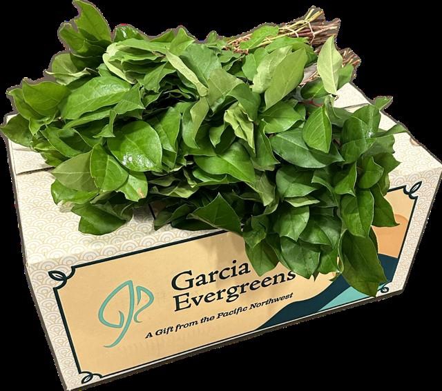 <h4>SALAL TIPS EXCLUSIVE AIR</h4>