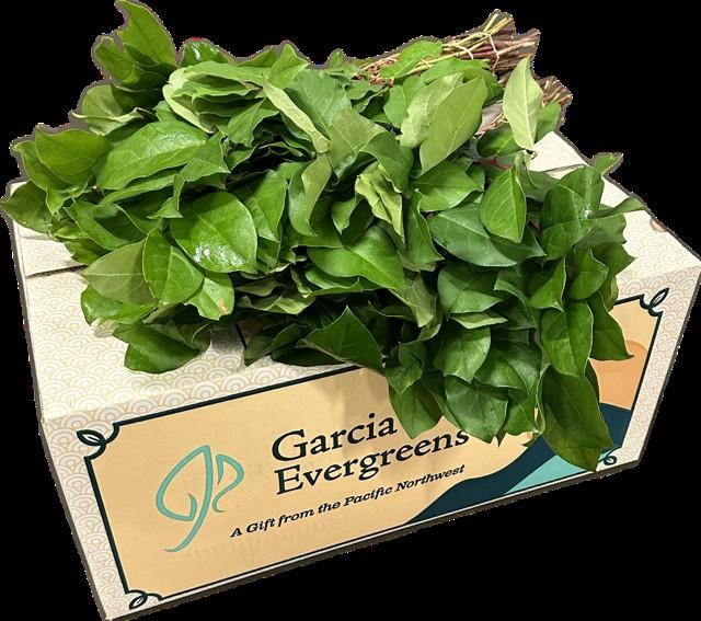 <h4>SALAL TIPS EXCLUSIVE AIR</h4>