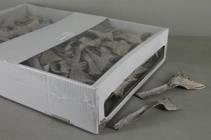 <h4>DD Agave Mini Whitewash Box</h4>